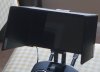 DSC01045.JPG