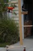 DSC01421.JPG