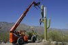 camouflage-cell-phone-towers-13.jpg