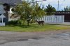 DSC_0089.JPG