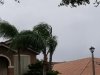 20170909_151241.jpg