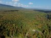 Great North Woods.jpg