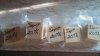 20170920_190257.jpg