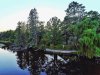 flowage 006-01~2.jpeg