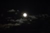 Oct 5th Harvest Moon.jpg