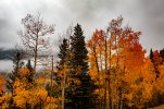 DJI_0728-HDR.jpg