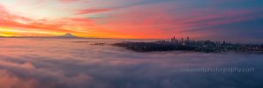 MAX_0036-Pano.jpg
