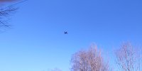 20230127_142401.jpg