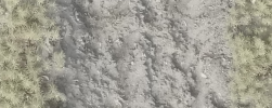 1680680862276.png