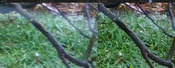 Focus border