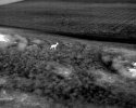 IRX_0002.MP4.00_04_17_04.Still002.jpg