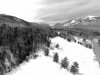 The Notch in Black & White (compressed to 398KB).jpg