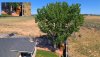 1080 30 EV -0.3 136,587 KB.jpg