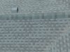 roof (2) 2x.JPG
