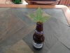 20180921_172540.jpg