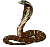 animated-snake-image-0008.gif