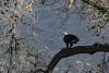IMG_2560.JPG
