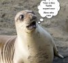 comedy-wildlife-photography-awards-winners-2017-9-5a33d73c56747__880_InPixio.jpg
