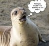comedy-wildlife-photography-awards-winners-2017-9-5a33d73c56747__880_InPixio.jpg
