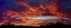 A0E0C106-A3A5-4070-8E67-6C2C9408B501.jpeg