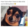 3796
