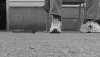 MAX_0041.JPG