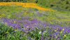 20190325_103905.jpg