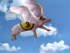 flying-pig.jpg