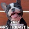 yay-its-friday-meme.jpg