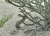 F657AE21-8B52-4D5D-8546-2C5192FC64D6.jpeg
