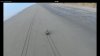 MAX_0093.MOV_60.505300,-151.281300@0m40.81s.jpg