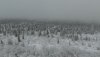 2019-11-08 Drone ice fog at Eureka, AK (3).jpg