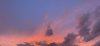A9F9AB03-EF98-41A7-8AE2-7D5E1F57EA13.jpeg