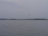 20200425_124344.jpeg