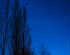 DSCF9850.jpg