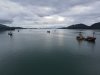 DJI_0051.JPG