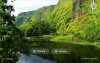 20200809_165345.jpg