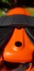 20200920_130612.jpg