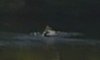 Shark Intercoastal.jpg