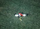 image2.jpeg