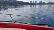 20201116_121210.jpg